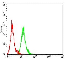 4 - Anti-ATG10 Antibody AP95677