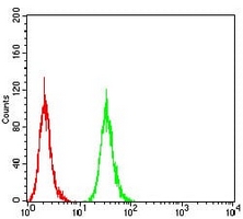 4 - Anti-ATG16L1 Antibody AP95678