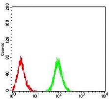 4 - Anti-ATG3 Antibody AP95679