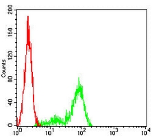 4 - Anti-ATP1A1 Antibody AP95682