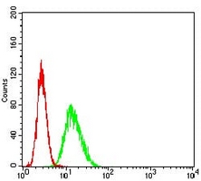 4 - Anti-SERCA1 Antibody AP95683