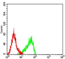 4 - Anti-ATP5A1 Antibody AP95684