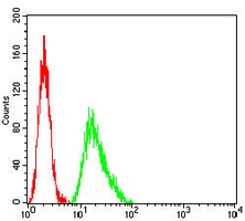 4 - Anti-ATP6AP1 Antibody AP95685