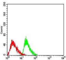 4 - Anti-Ataxin 1 Antibody AP95686