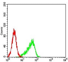 4 - Anti-Aurora A Antibody AP95688