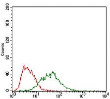 4 - Anti-B3GALT4 Antibody AP95690
