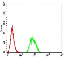 4 - Anti-B3GAT1 Antibody AP95691