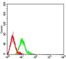 4 - Anti-CD57 Antibody AP95692