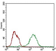 4 - Anti-BAD Antibody AP95695