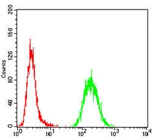 4 - Anti-BAX Antibody AP95696