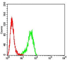 4 - Anti-BCL2 Antibody AP95697