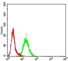 4 - Anti-BCR Antibody AP95699