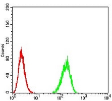 4 - Anti-Amphiphysin 2 Antibody AP95700