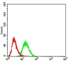4 - Anti-BMP7 Antibody AP95702