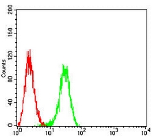 4 - Anti-B-RAF Antibody AP95704