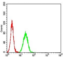 4 - Anti-RING3 Antibody AP95705