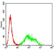 4 - Anti-CD157 Antibody AP95706