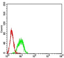 4 - Anti-BTN1A1 Antibody AP95707