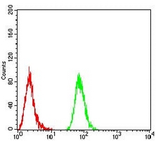 4 - Anti-BTN2A2 Antibody AP95708