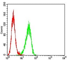 4 - Anti-beta-TrCP Antibody AP95709