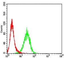 4 - Anti-CD88 Antibody AP95710