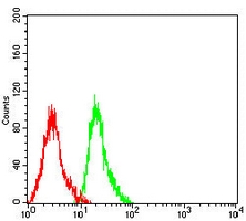4 - Anti-GPR77 Antibody AP95711