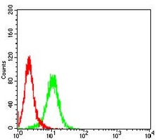 4 - Anti-C9orf72 Antibody AP95712