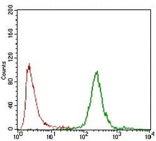 4 - Anti-Carbonic Anhydrase 9 Antibody AP95713