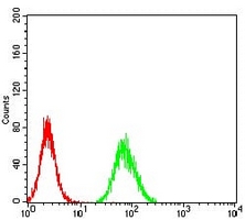 4 - Anti-Calretinin Antibody AP95714