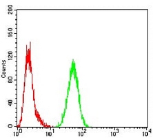4 - Anti-Calreticulin Antibody AP95715