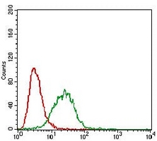 4 - Anti-Caveolin 2 Antibody AP95719