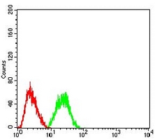 4 - Anti-CBX2 Antibody AP95720