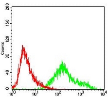 4 - Anti-Cyclin A2 Antibody AP95723
