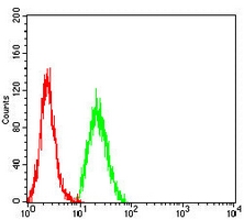 4 - Anti-Cyclin D1 Antibody AP95724