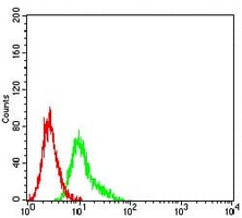 4 - Anti-CD191 Antibody AP95725