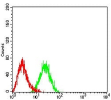 4 - Anti-CCR7 Antibody AP95728