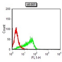 4 - Anti-CD163 Antibody AP95730