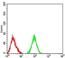 4 - Anti-CD177 Antibody AP95731