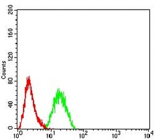 4 - Anti-CD2 Antibody AP95733