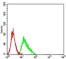 4 - Anti-CD209 Antibody AP95735