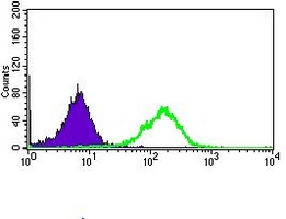 4 - Anti-CD33 Antibody AP95737