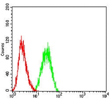 4 - Anti-CD34 Antibody AP95738