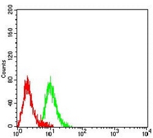 4 - Anti-CD3g Antibody AP95740