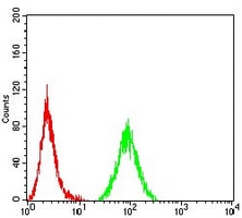 4 - Anti-CD44 Antibody AP95742
