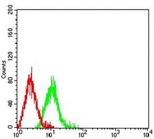 4 - Anti-CD46 Antibody AP95743