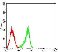 4 - Anti-CD53 Antibody AP95746