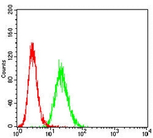 4 - Anti-CD81 Antibody AP95750