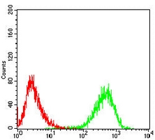 4 - Anti-CD99 Antibody AP95753