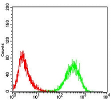4 - Anti-CD99 Antibody AP95754