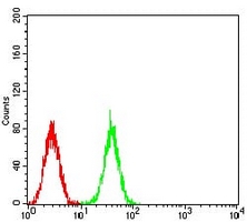 4 - Anti-CDC37 Antibody AP95755